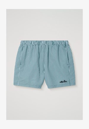 Blå og hvite badeshorts med vertikale striper, elastisk midje og liten svart merkevarelogo nederst på høyre ben.