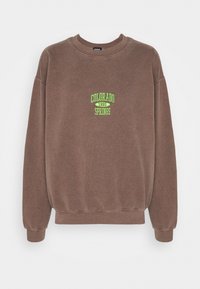 BDG Urban Outfitters Sweatshirt - brown