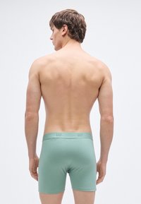 Κοντά ανδρικά εσώρουχα boxer σε μέντα πράσινο βαμβακερό ύφασμα, με λογότυπο στη μέση, εφαρμοστή σχεδίαση και λεία υφή, εμφανίζονται από πίσω σε ουδέτερο φόντο.