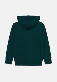 Grüner Kapuzenpullover mit glatter Textur, langen Ärmeln und klassischer Passform, mit gerippten Bündchen und Saum.