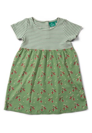 Korte mouw jurk voor peuters met groen-witte strepen aan de bovenkant en een groene rok versierd met kleine rode en witte bloemenprints.