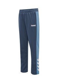 Marineblaue und hellblaue Sporthose mit Logo, elastischem Bund und dreieckigen weißen Akzenten an den Seiten. Hergestellt aus glattem Stoff.