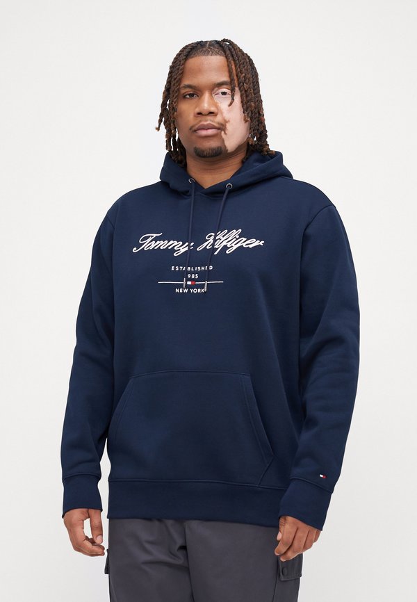SCRIPT LOGO HOODY - Sweatshirt - desert sky