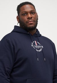 Tommy Hilfiger GLOBAL STRIPE WREATH HOODY - Hoodie - desert sky