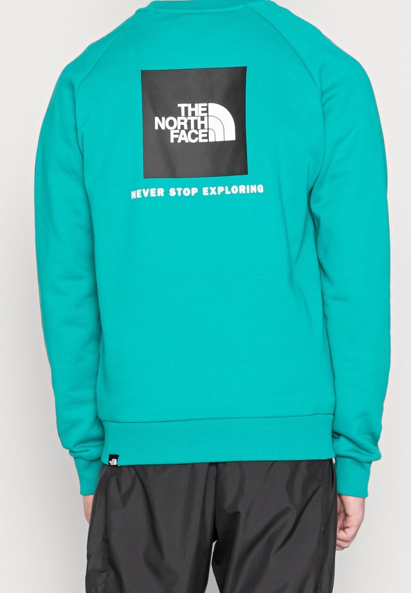 Personne portant un sweat-shirt bleu sarcelle avec un logo carré noir et un texte blanc "THE NORTH FACE" et "NEVER STOP EXPLORING" au dos.