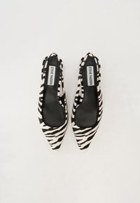 Steve Madden KARI - Escarpins - black