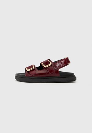 HARPER  - Sandále - onix burgundy
