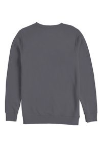 Grauer Sweatshirt mit Rundhalsausschnitt, langen Ärmeln und gerippten Bündchen. Glatte Textur, ohne sichtbare Grafiken oder Verzierungen.
