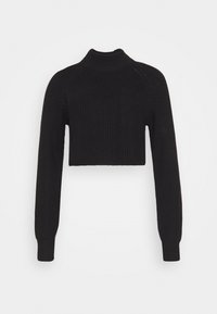 Schwarzer gestrickter, kurz geschnittener Pullover mit langen Ärmeln und hohem Kragen auf weißem Hintergrund.