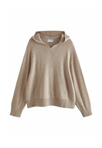 Next Kapuzenpullover - neutral