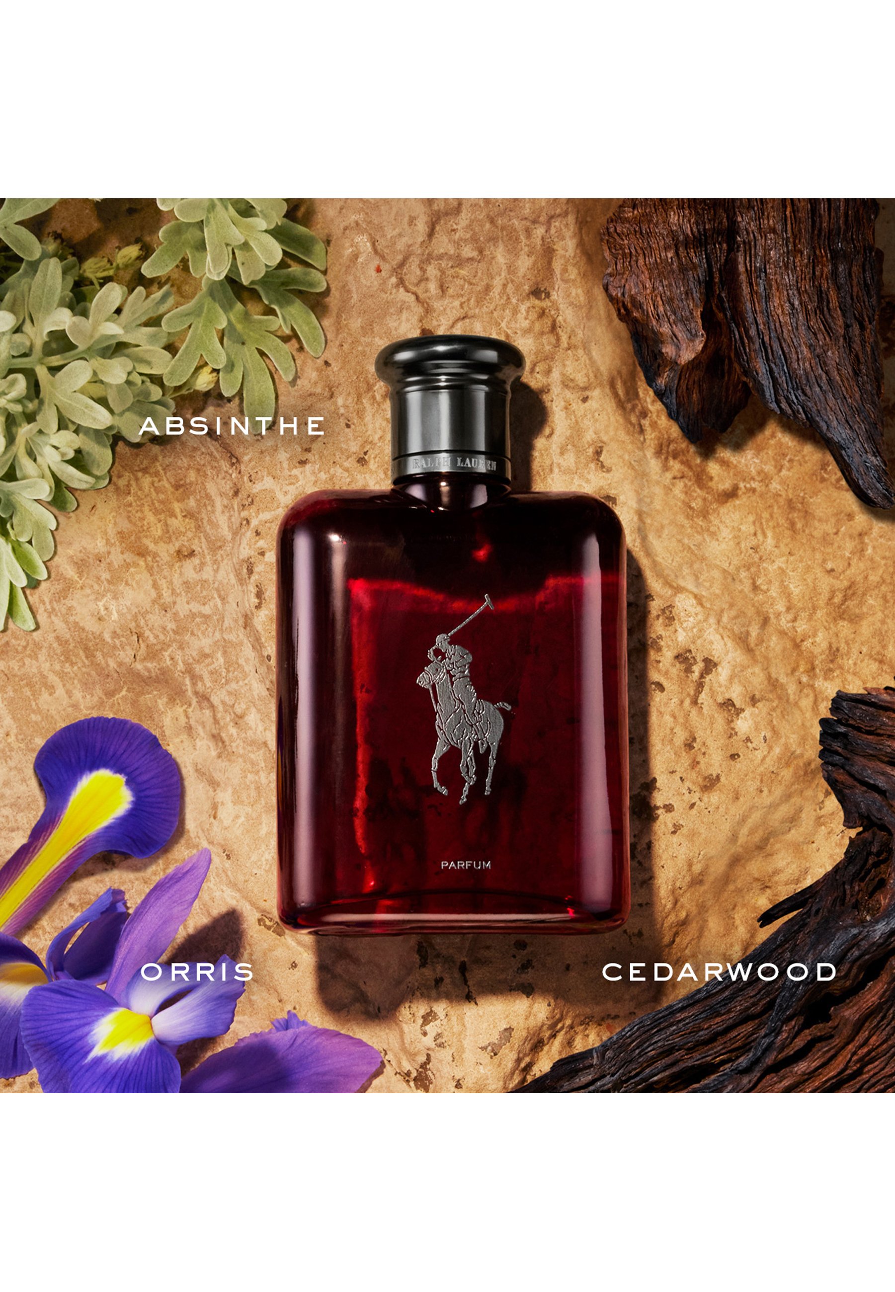 Ralph Lauren Fragrance POLO RED - Eau de parfum - Zalando.nl