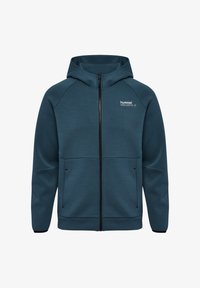 Selezionato, stargazer