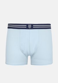 Helehallid meeste bokserpüksid tumesinise vöökohaga, millel on valged triibud ja keskel väike kilbi kujuline logo.