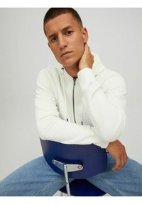 Jack & Jones JJESTAR BASIC HOOD - Sudadera con cremallera - cloud dancer