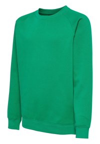 Sudadera verde de tela suave, con un cuello redondo, mangas raglán largas, puños de canalé y un diseño sencillo en un solo color.