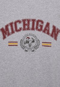 Šedé tričko s krátkým rukávem zdobí výrazný červený nápis "MICHIGAN", emblém s horským motivem a žluto-červené pruhy níže.