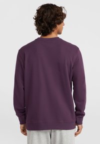 Paarse sweatshirt met lange mouwen, geribde halslijn en manchetten, en een relaxed fit. Gladde textuur en zijsplitten aan de zoom.