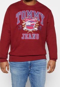 Tommy Jeans Plus Bluza