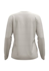 Helles grauer Pullover mit langen Ärmeln, der über einen runden Ausschnitt, eine weiche Textur und minimale Nahtdetails auf dem Rücken und an den Ärmeln verfügt.