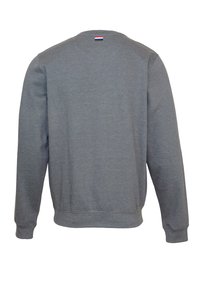 Felpa grigia a maniche lunghe con collo a giro, dotata di polsini e vita a costine, che presenta un piccolo etichetta a strisce rosse, bianche e blu sul retro del collo.