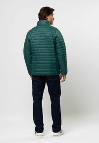 U.S. Polo Assn. MARK  - Téli dzseki - rain forest