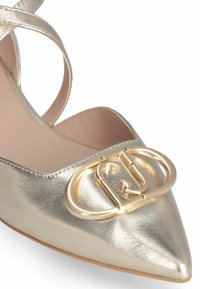 Chaussure argentée métallisée à bout pointu avec un design à brides croisées, arborant un détail de boucle dorée en avant. Texture lisse.