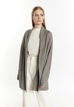 CASNAGIE - Strickjacke - grau melange