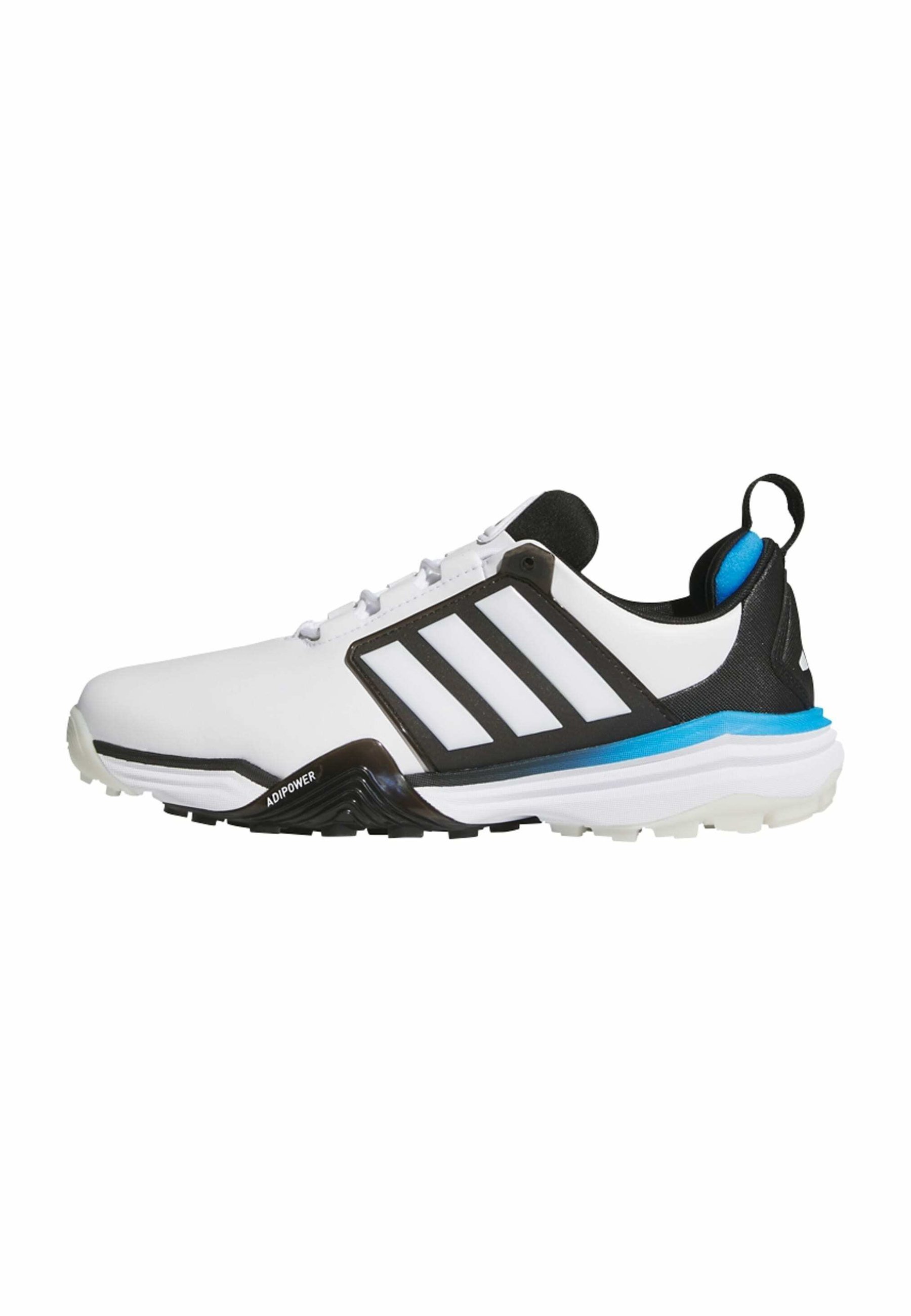 adidas Golf ADIPOWER 26 SL - Golf shoes - cloud white core black lucid ray  blue/white - Zalando