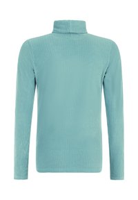 Pull à col roulé à manches longues en texture côtelée, de couleur bleu doux et au design ajusté.