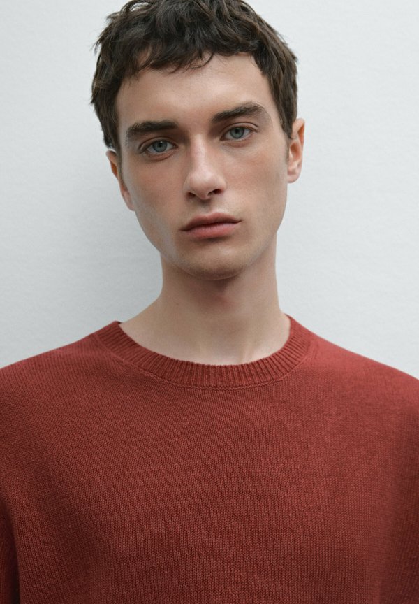 CREW NECK   - Jumper - bordeaux4