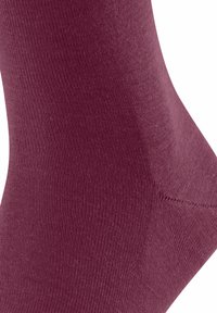 FALKE AIRPORT - Socken - red plum