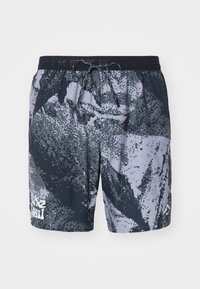 STRIDE  - Športové šortky - iron grey/black/summit white