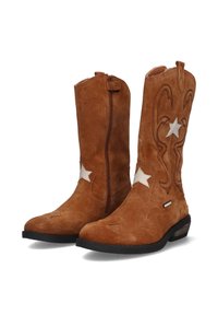Bruine suède cowboylaarzen met witte steraccenten, ingewikkelde stiksels, zijritsen en een lage gestapelde hak.