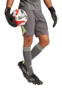 adidas Performance Kurze Sporthose - grau