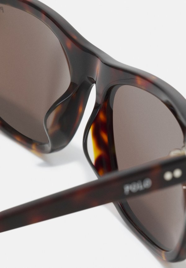 Sunglasses - shiny dark havana4