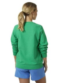Sudadera verde de manga larga, con puños y bajo acanalados. La parte trasera es lisa, sin patrones ni logotipos visibles. Combinada con pantalones cortos azules.