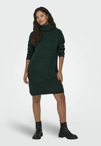 JDY INGEBORG LIFE ROLL NECK - Strickkleid - scarab