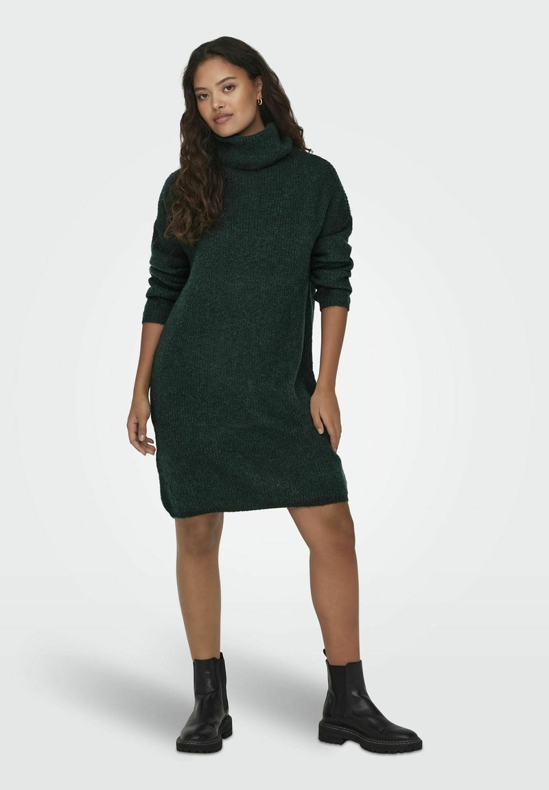 JDY INGEBORG LIFE ROLL NECK - Strickkleid - scarab