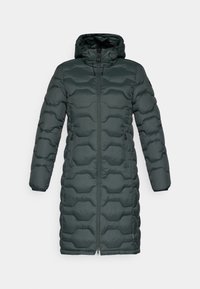 Non sélectionné, dark green