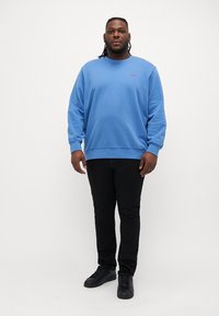 Blue cotton sweatshirt with long sleeves and round neckline. Paired with black slim-fit jeans and black sneakers. Small logo detail on chest.