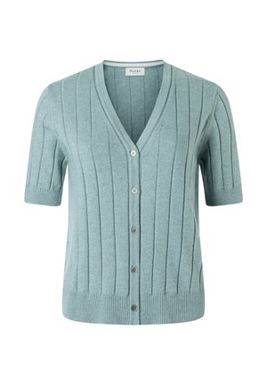 Cardigan - lake blue