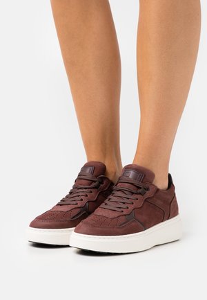 G-STAR, Baskets basses - dark red