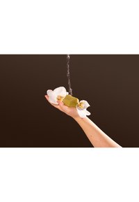 Thumbnail Image 5