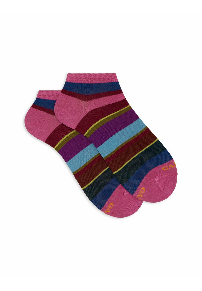 Gallo WITH STRIPES - Calze - ibisco vinaccia
