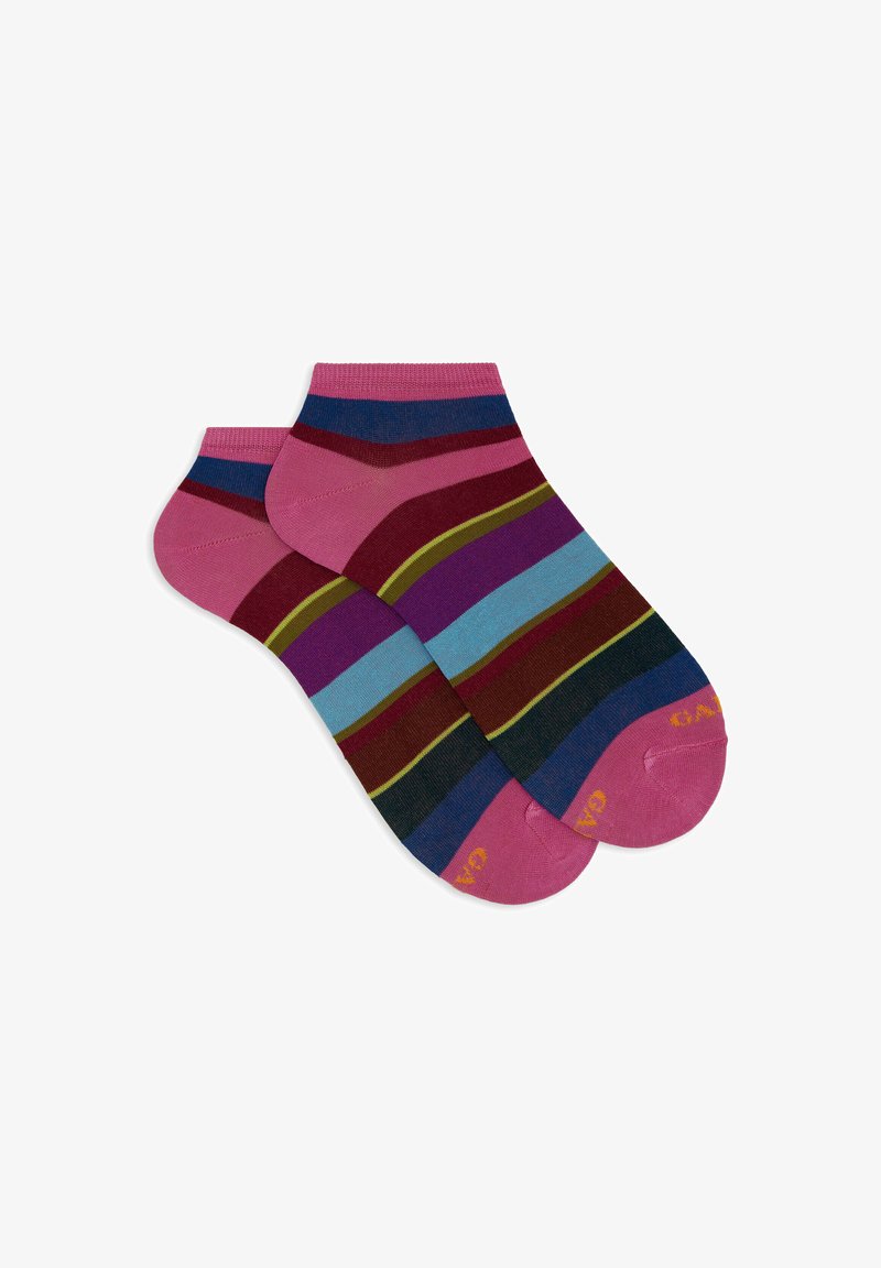 Gallo WITH STRIPES - Calze - ibisco vinaccia