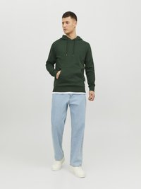 Jack & Jones JJEBASIC HOOD - Kapuzenpullover - mountain view