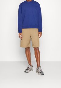 Felpa blu, pantaloni corti beige e scarpe da ginnastica grigie. La felpa ha maniche lunghe e colletto rotondo. I pantaloni corti sono lunghi fino al ginocchio con una vestibilità rilassata.