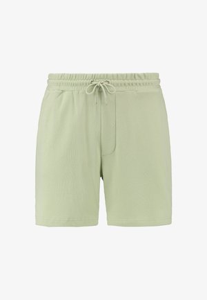 Pantaloni scurți verzi deschisi, dintr-un material moale, având un elastic la talie cu șnur de ajustare și o buzunar lateral. Textură netedă, croială lejeră.