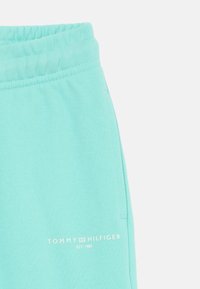 Minti zaļi treniņbikses ar teksturētu virsmu, elastīgu jostasvietu un baltu "TOMMY HILFIGER EST 1985" zīmolu.