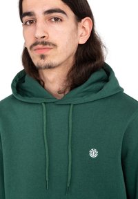 Element CORNELL CLASSIC - Jersey con capucha - grt